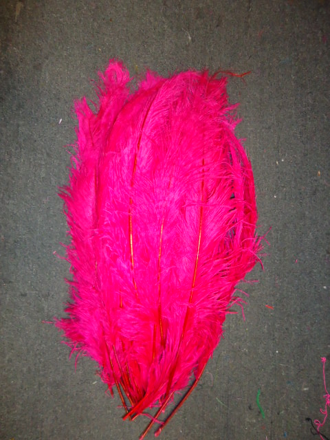 Ostrich Feather Plume 18-24 INCH FUSHIA